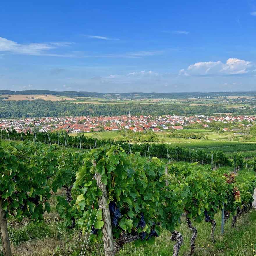 5_zweiuferland_thüngersheim_terroir f