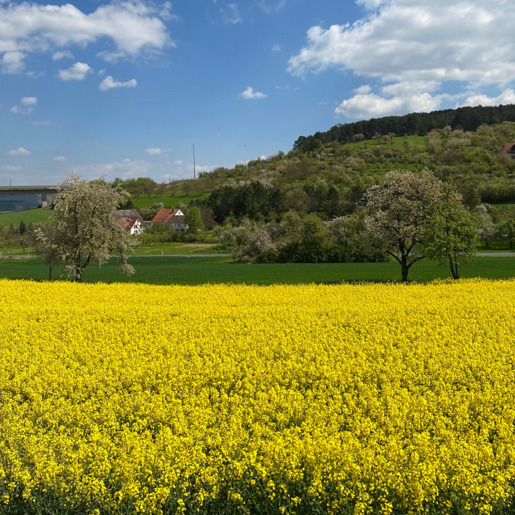 bauernregeln_mai