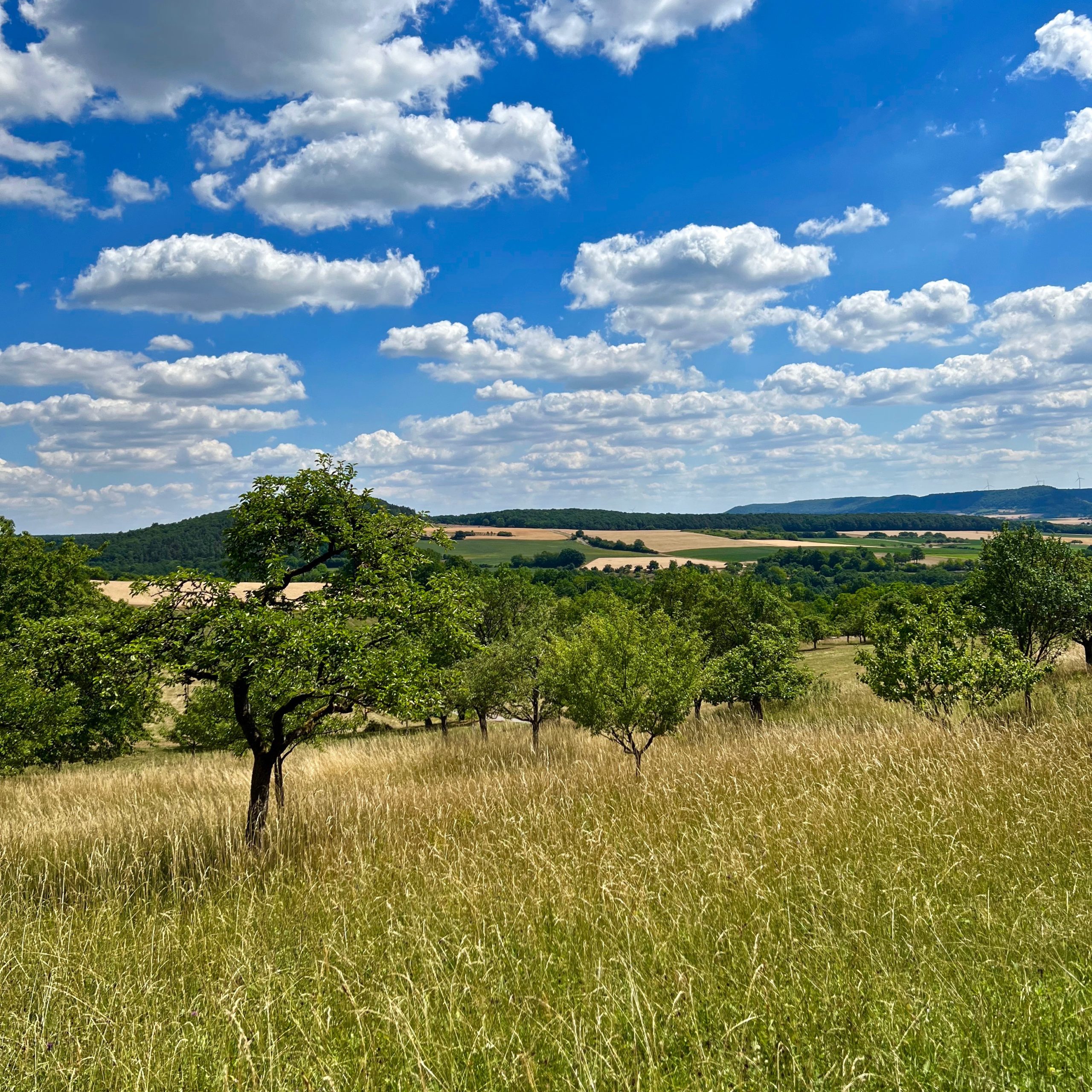 landschaft_elfershausen