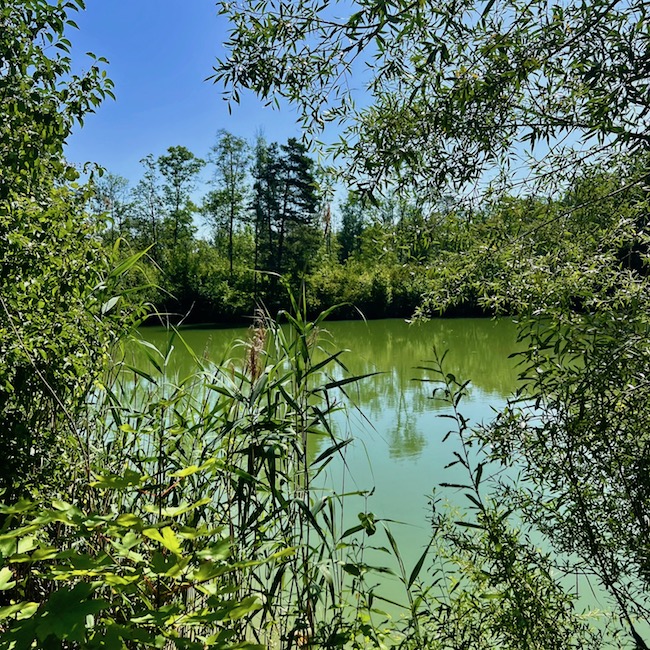6_donauwald_wanderweg