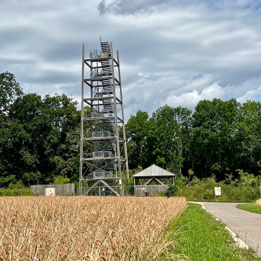 6_donauwald_wanderweg