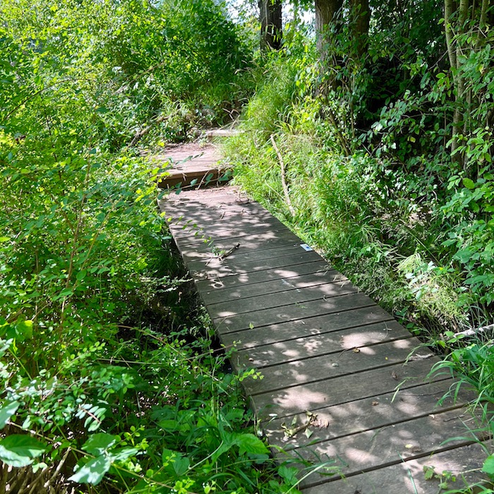 6_donauwald_wanderweg_bruehlweiher