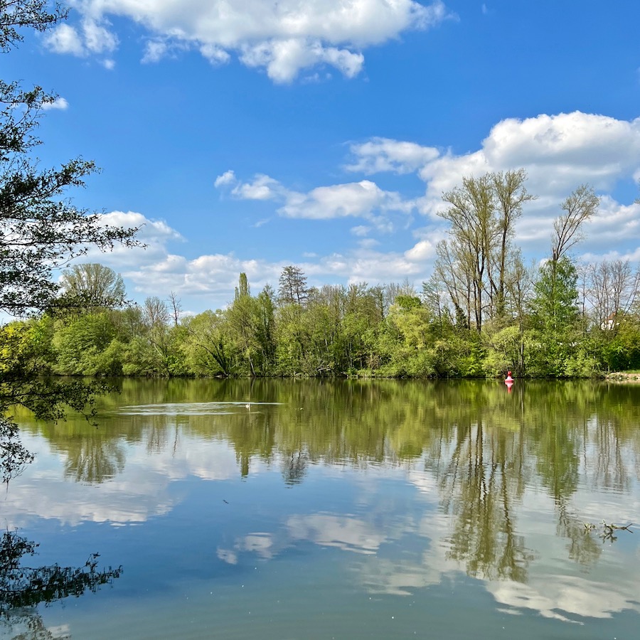 6_mainufer_frühling