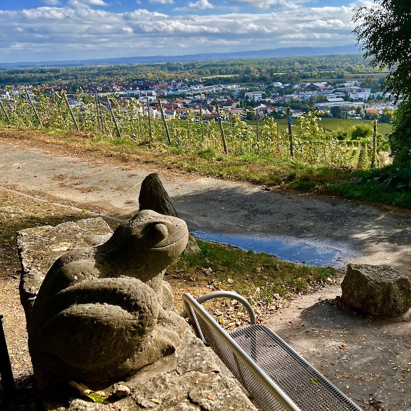 6_oppenheim_krötenbrunnen