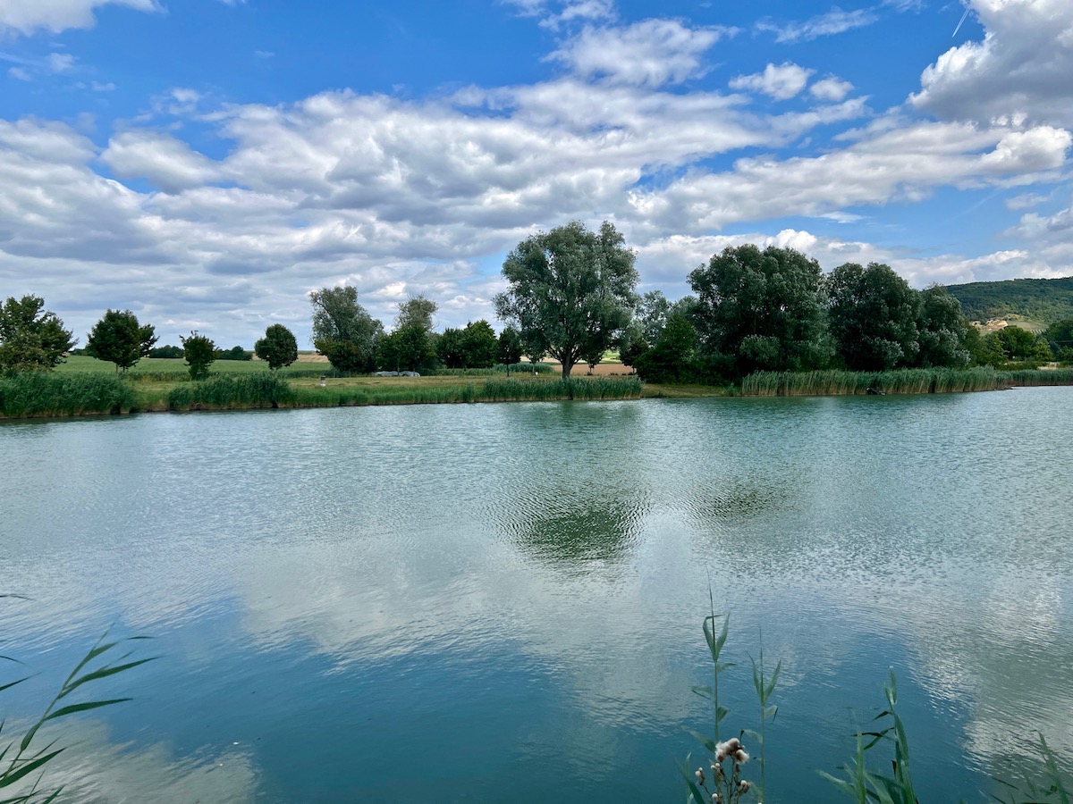6_seinsheim_landschaftssee