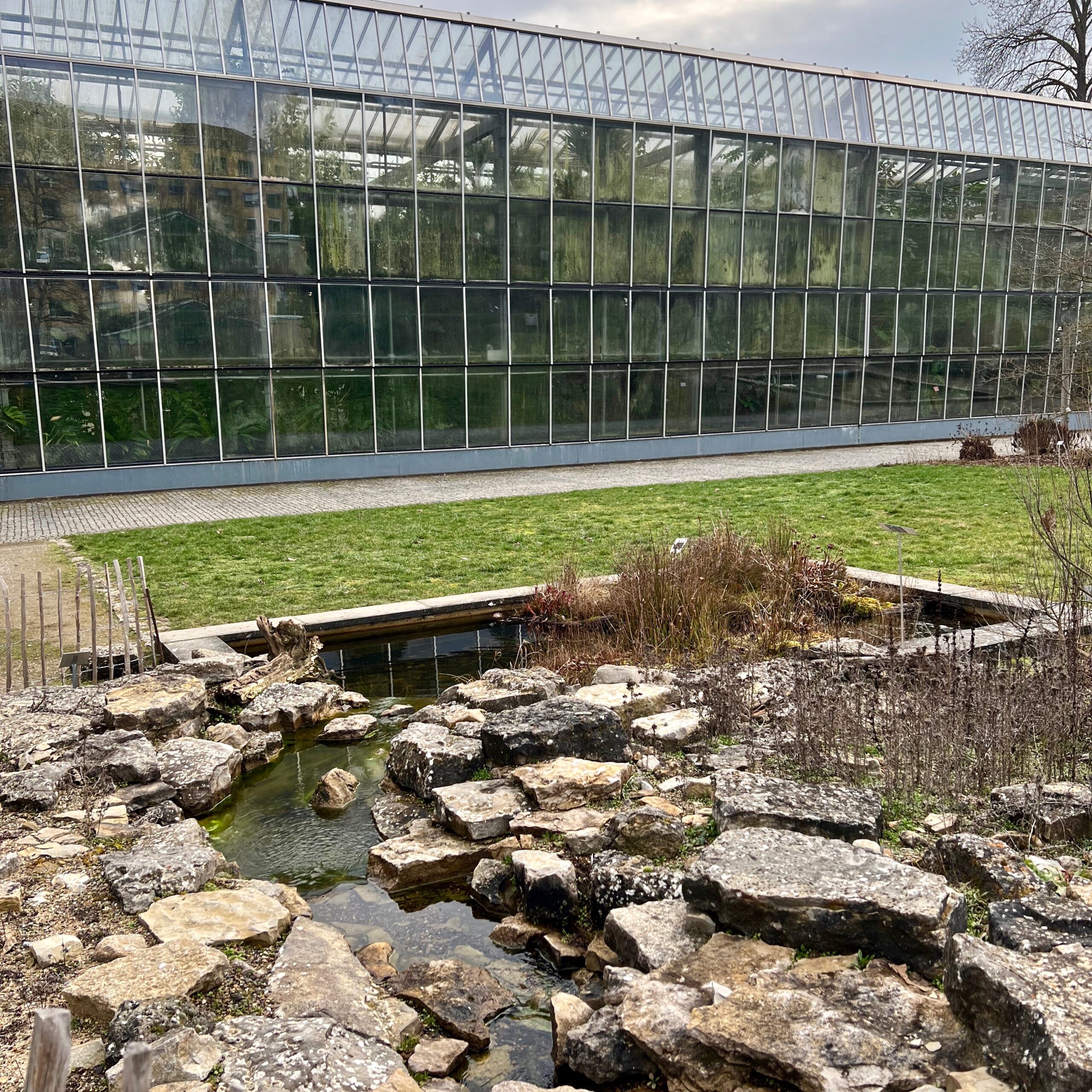 6_tropenhaus