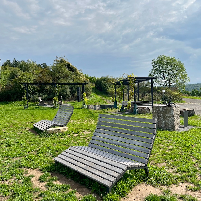 6_zweiuferland_thüngersheim_terroir f