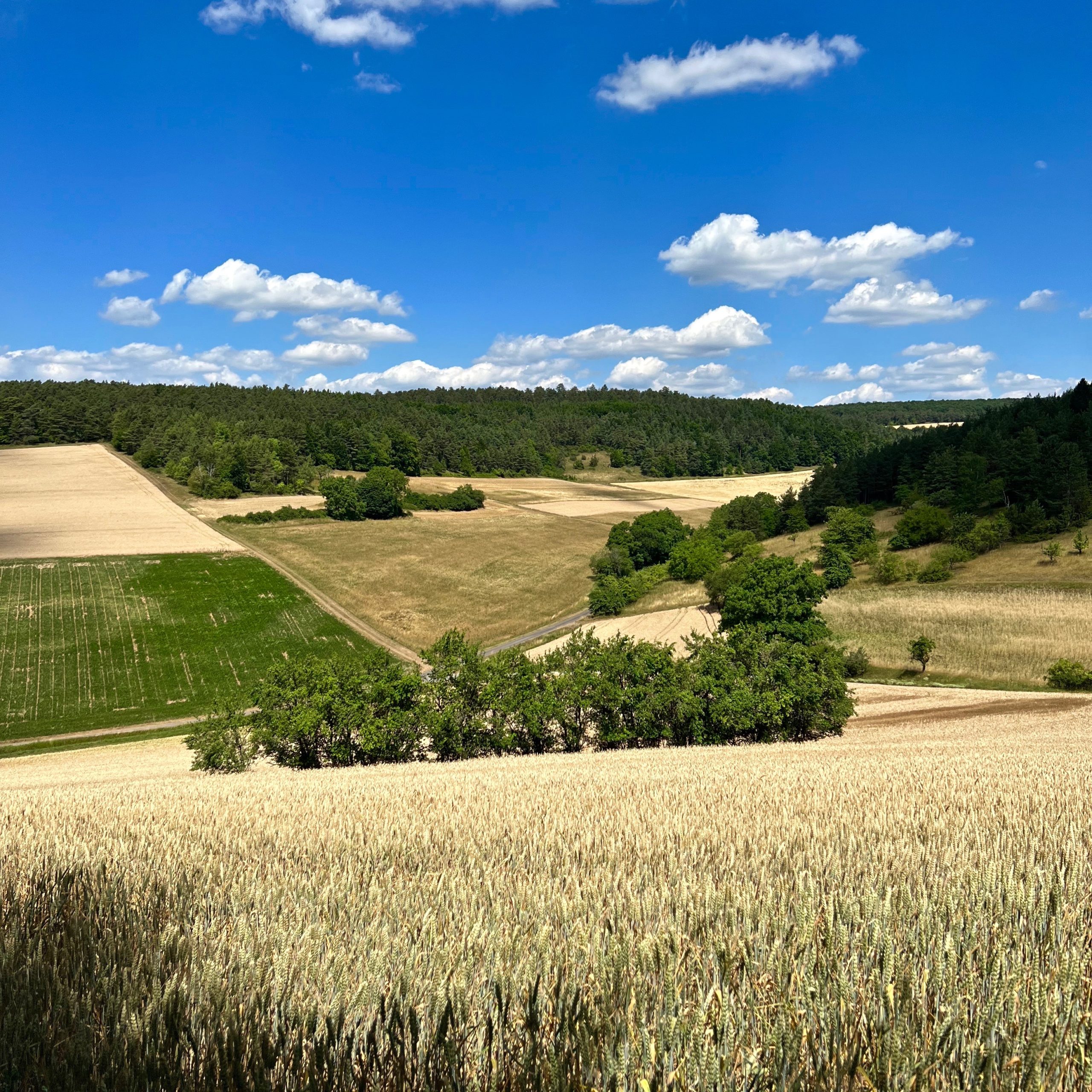 landschaft_feuerthal
