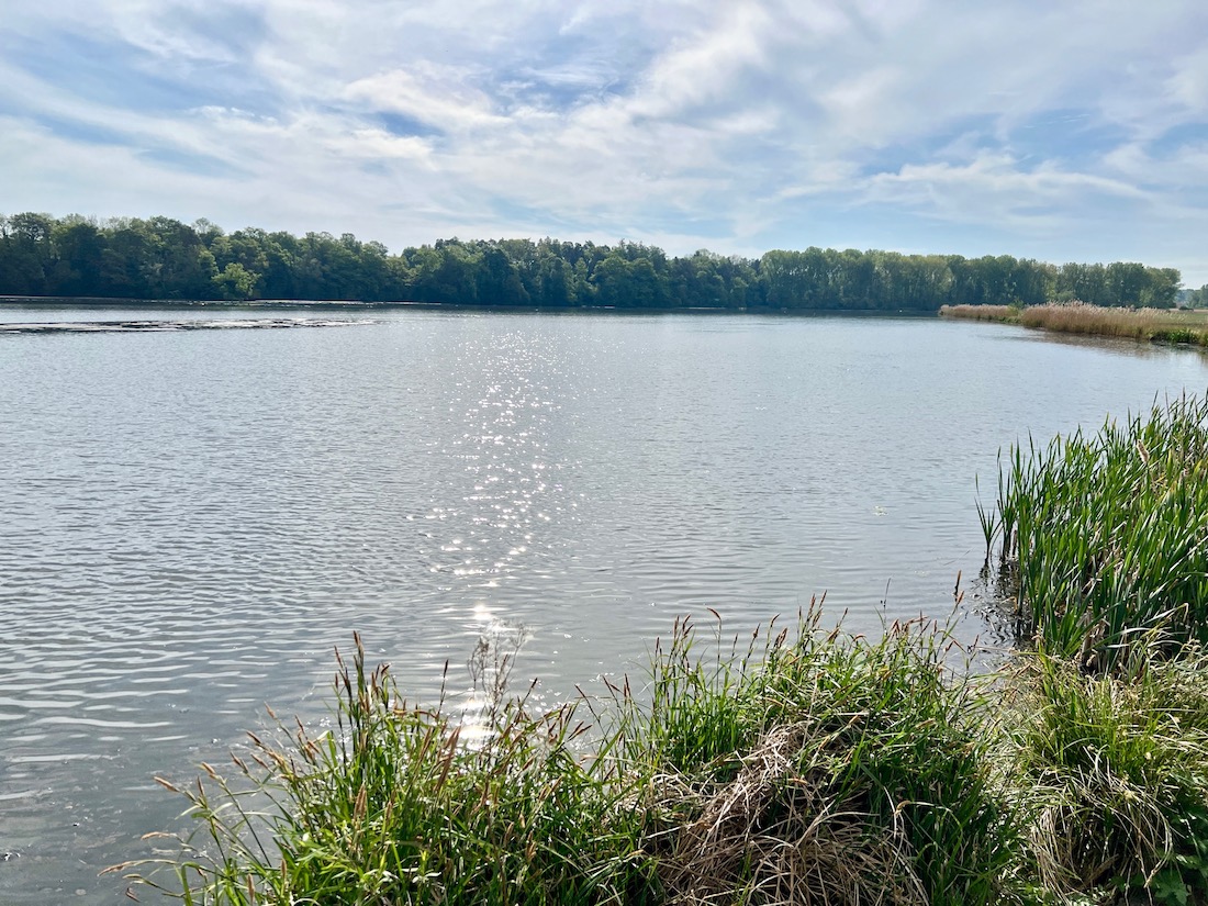 streifzüge_günzstausee