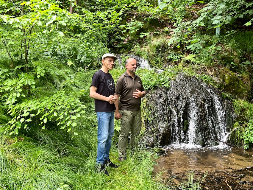 7_bad neualbenreuth_waldgesunheitstraining