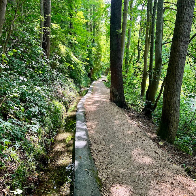 7_donauwald_waldweg