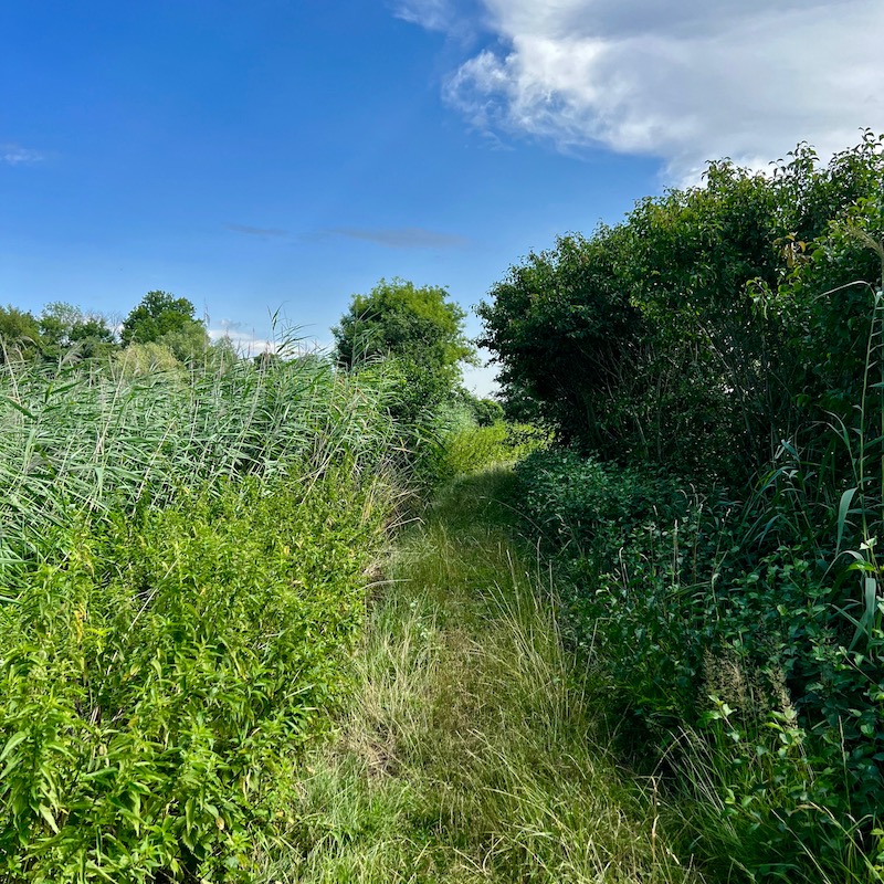 7_donauwald_wanderweg