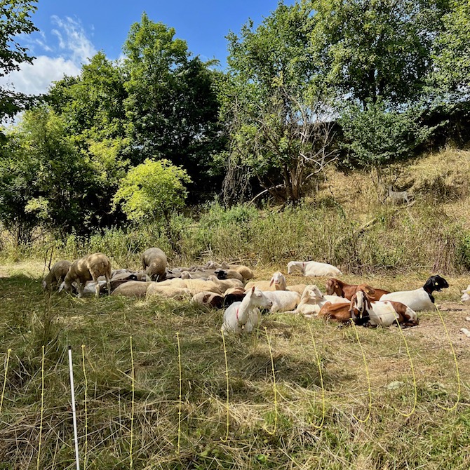 7_donauwald_wanderweg