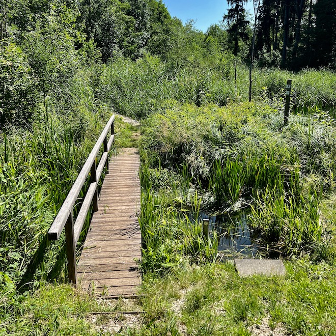 7_donauwald_wanderweg