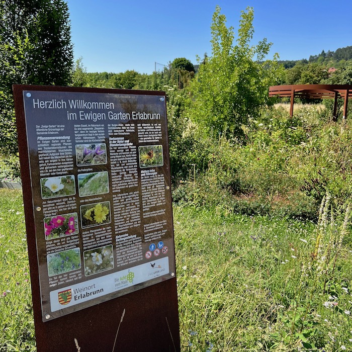 7_e_bike_tour_ewiger garten