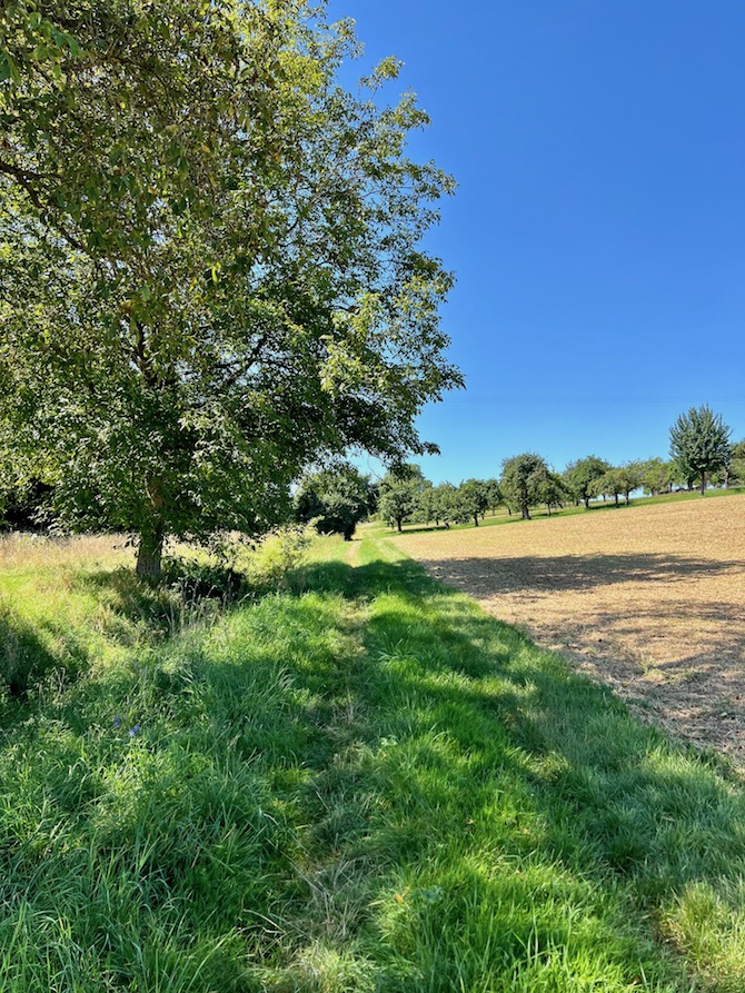 7_egenhausen_steinhauerweg