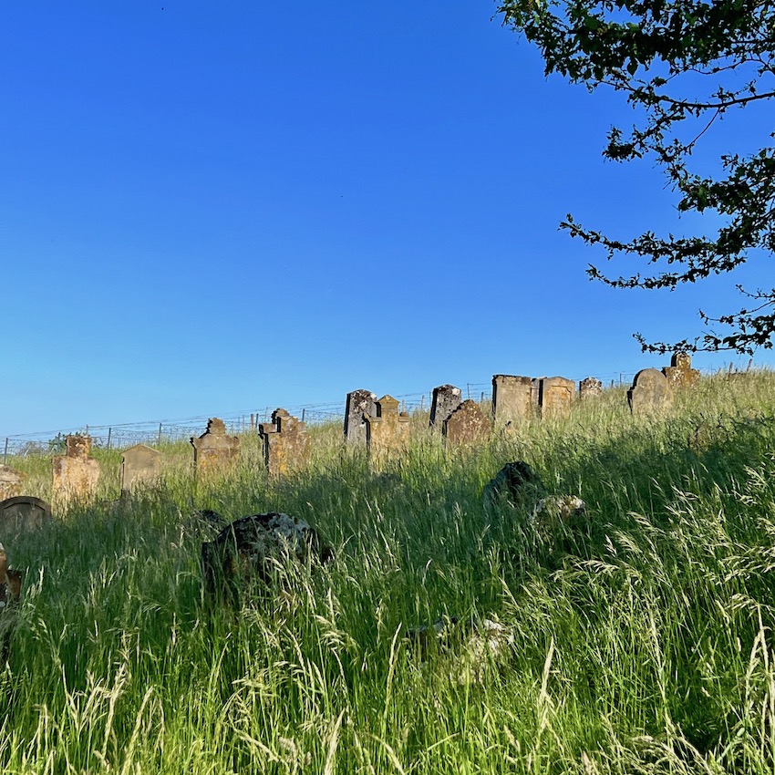 7_hüttenheim_judenfriedhof