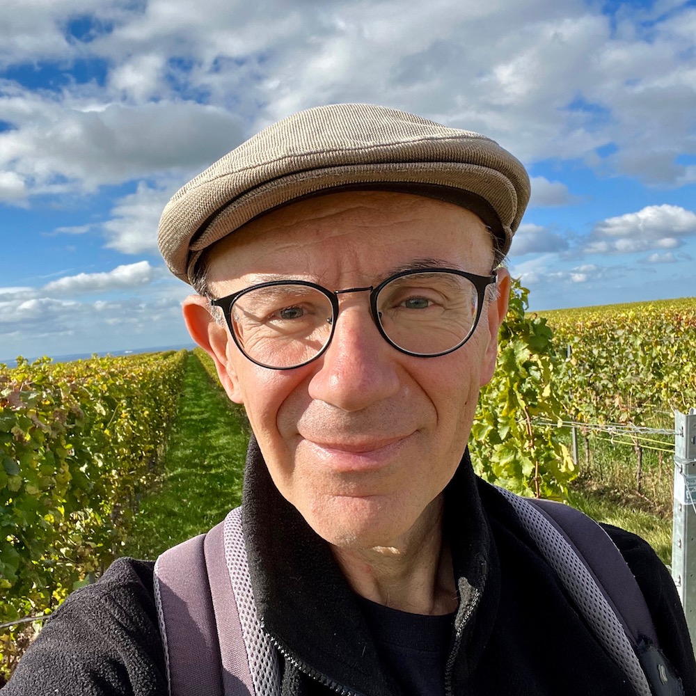 7_oppenheim_weinberge_Reises Wiki