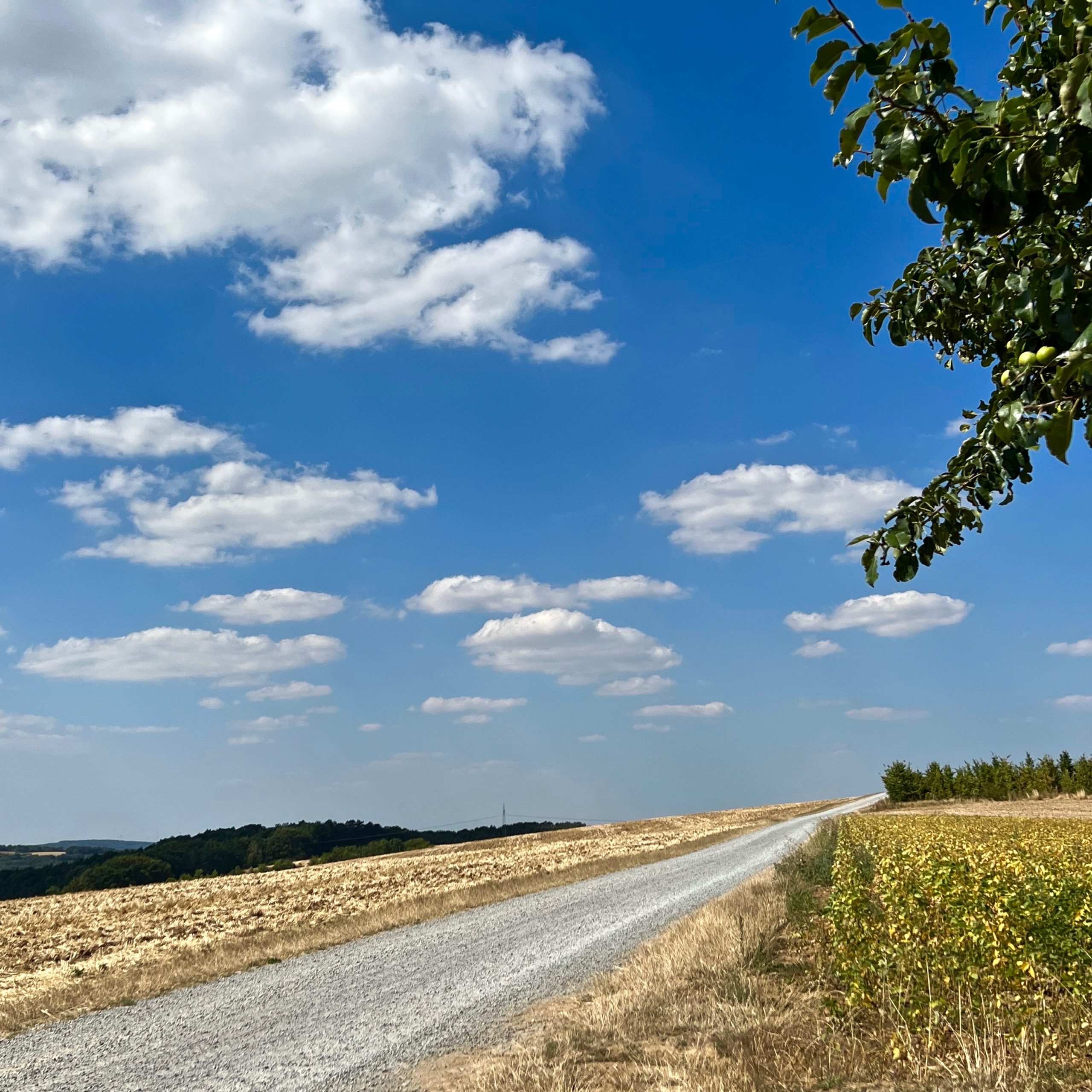 flurweg