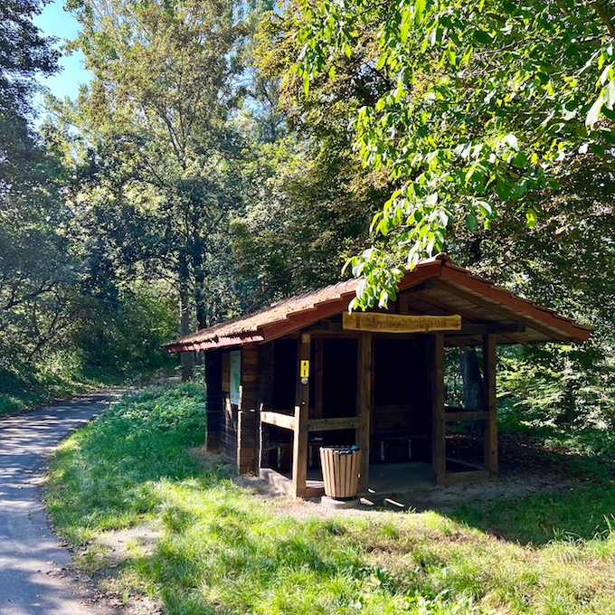 8_arnstein_waldlehrpfad