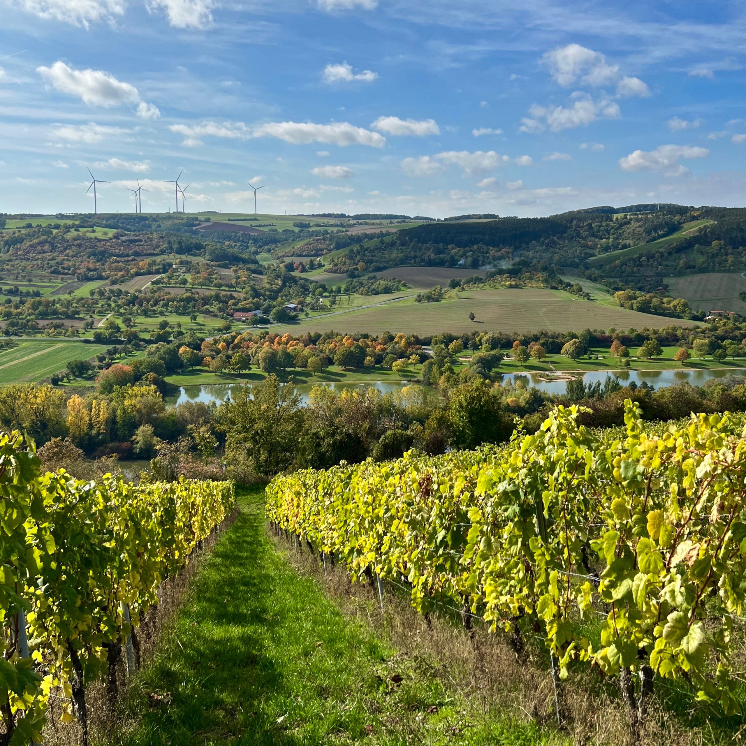 blick ins maintal