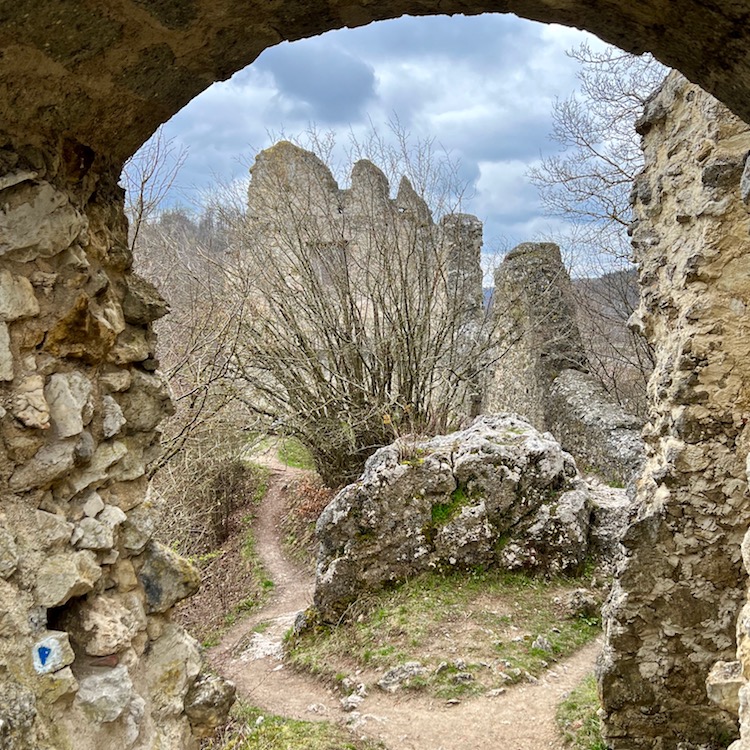 8_donau_ries_burgruine niederhaus