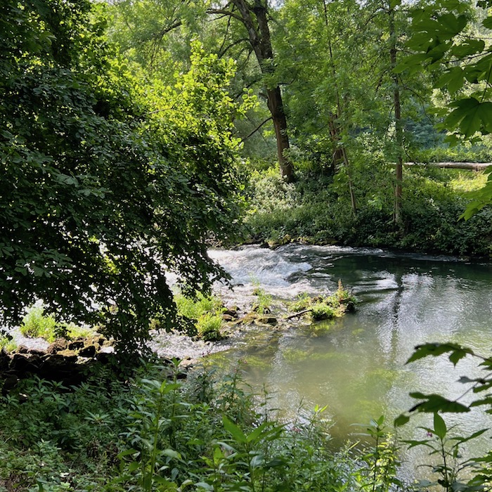 8_donauwald_brenzmündung