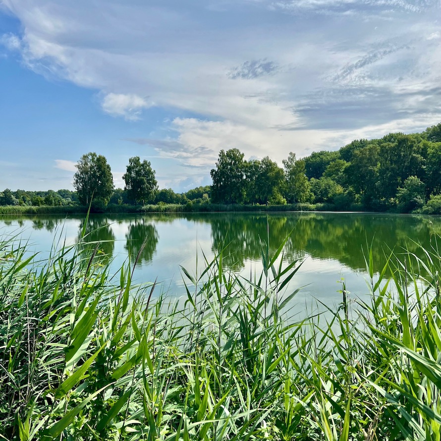 8_donauwald_wanderweg