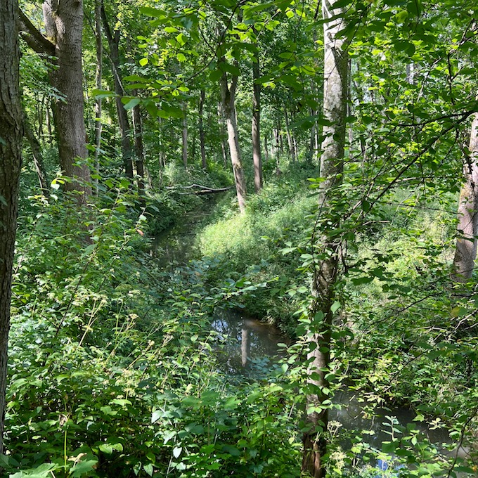 8_donauwald_wanderweg