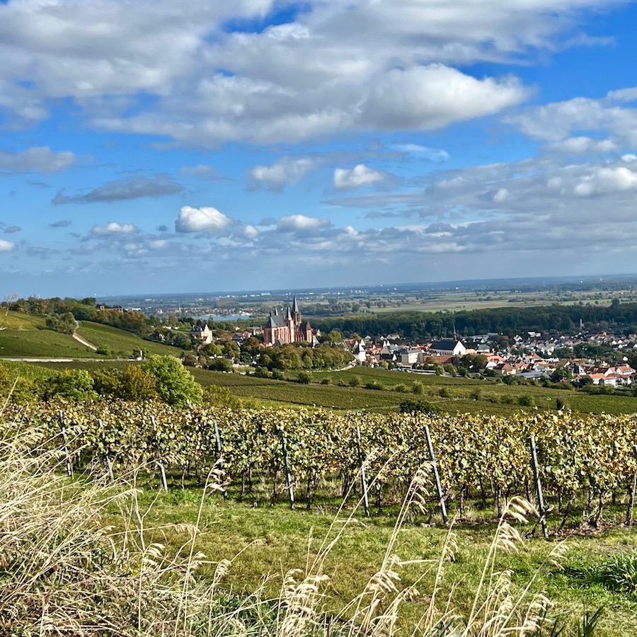 8_oppenheim_weinberge_katharinenkirche