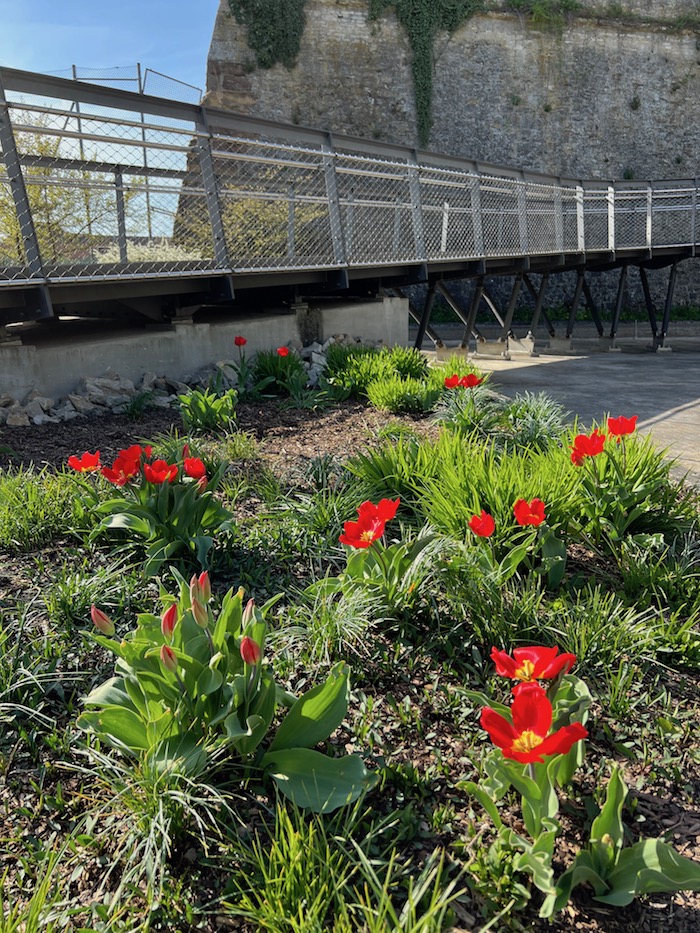 wuerzburg_landesgartenschau_kneipp_garten