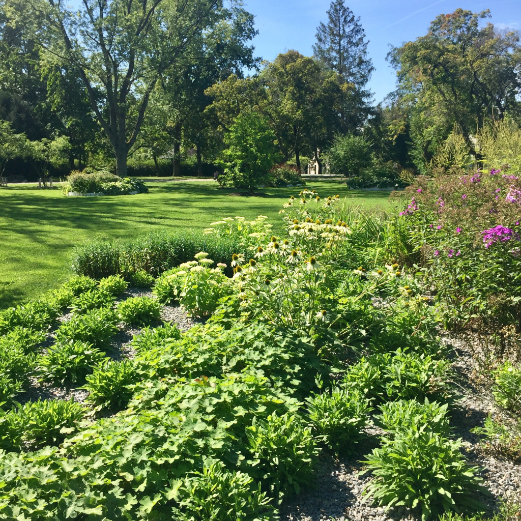 Landesgartenschau