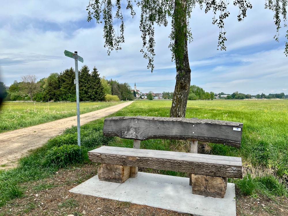 streifzüge_günzstausee
