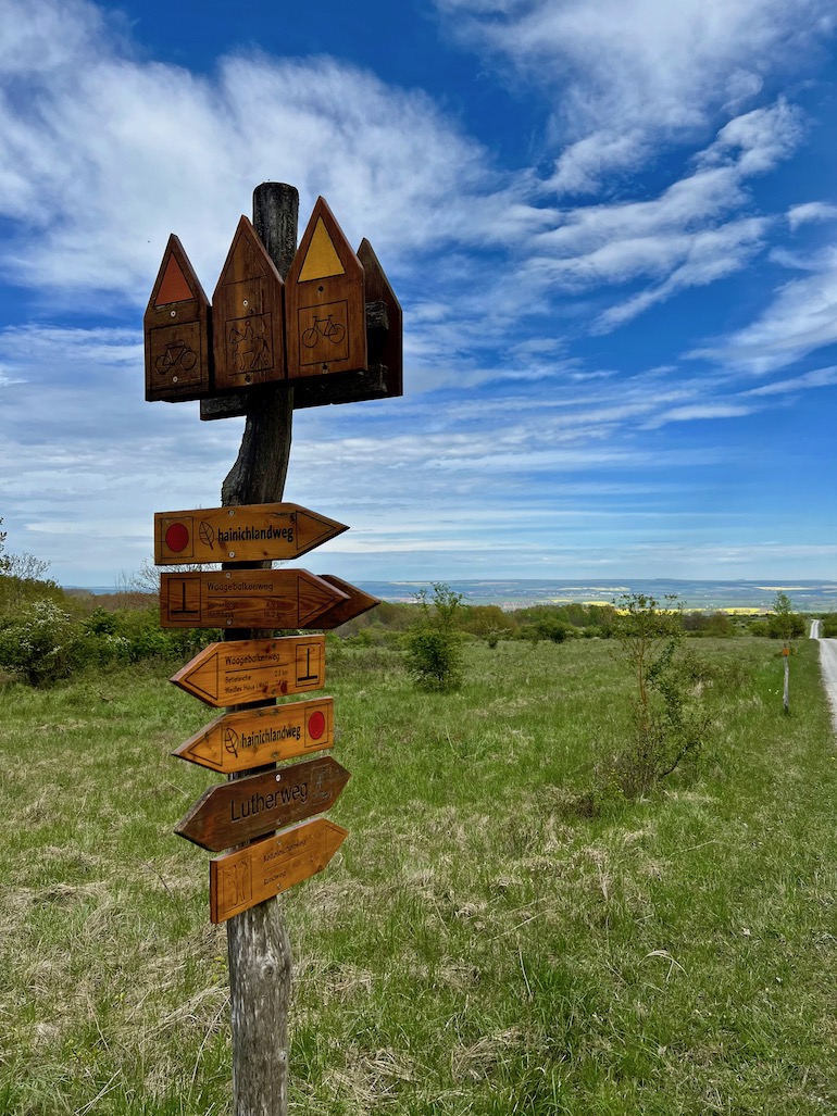 9_Boggerwandertag_Betteleichenweg