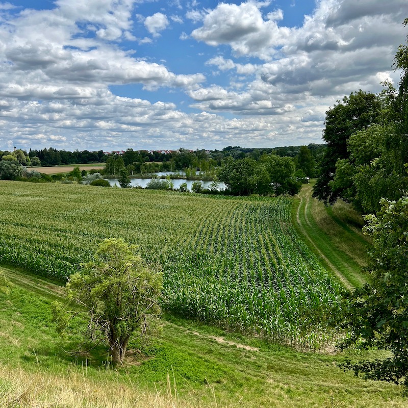 9_donauwald_wanderweg