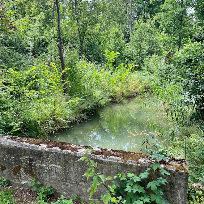 9_donauwald_wanderweg