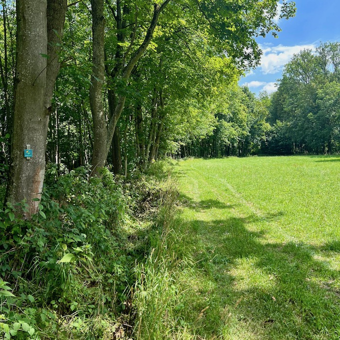9_donauwald_wanderweg