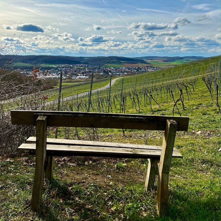 9_weinlage_himmelstadter kelter