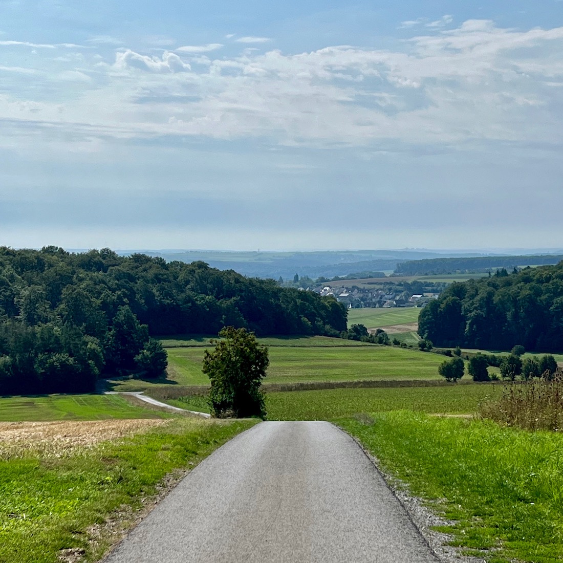9_zweiuferland_ebike_tour