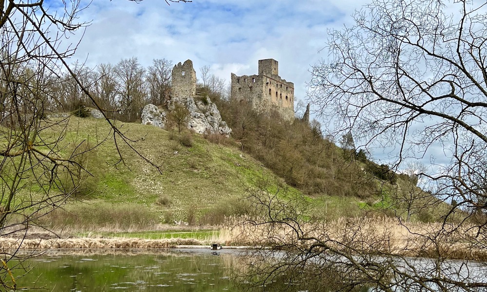 Burgruine Niederhaus