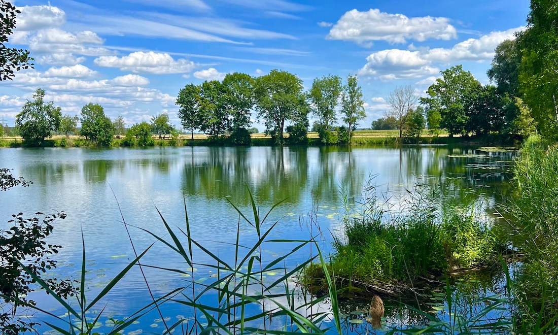 Der DonAUwald-Wanderweg - Etappe 4