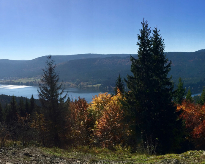 Titisee