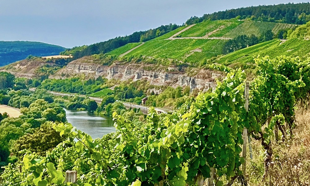 Weinbau am Stettener Stein
