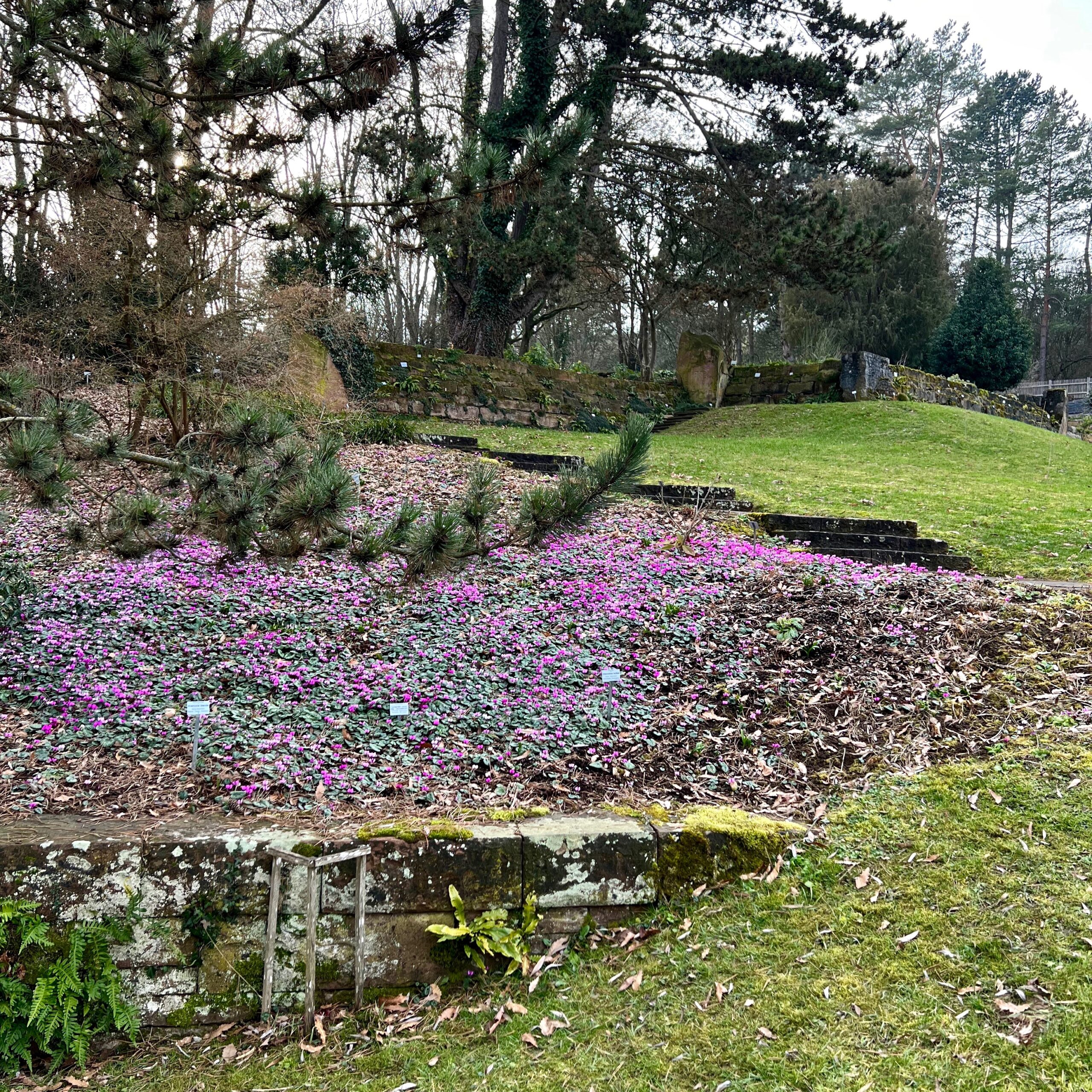 b_freigelände_botanischer garten