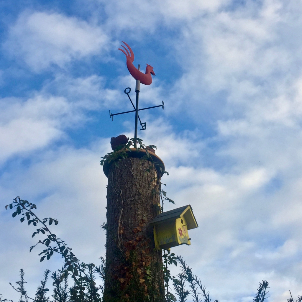 bauernregeln_wetterhahn