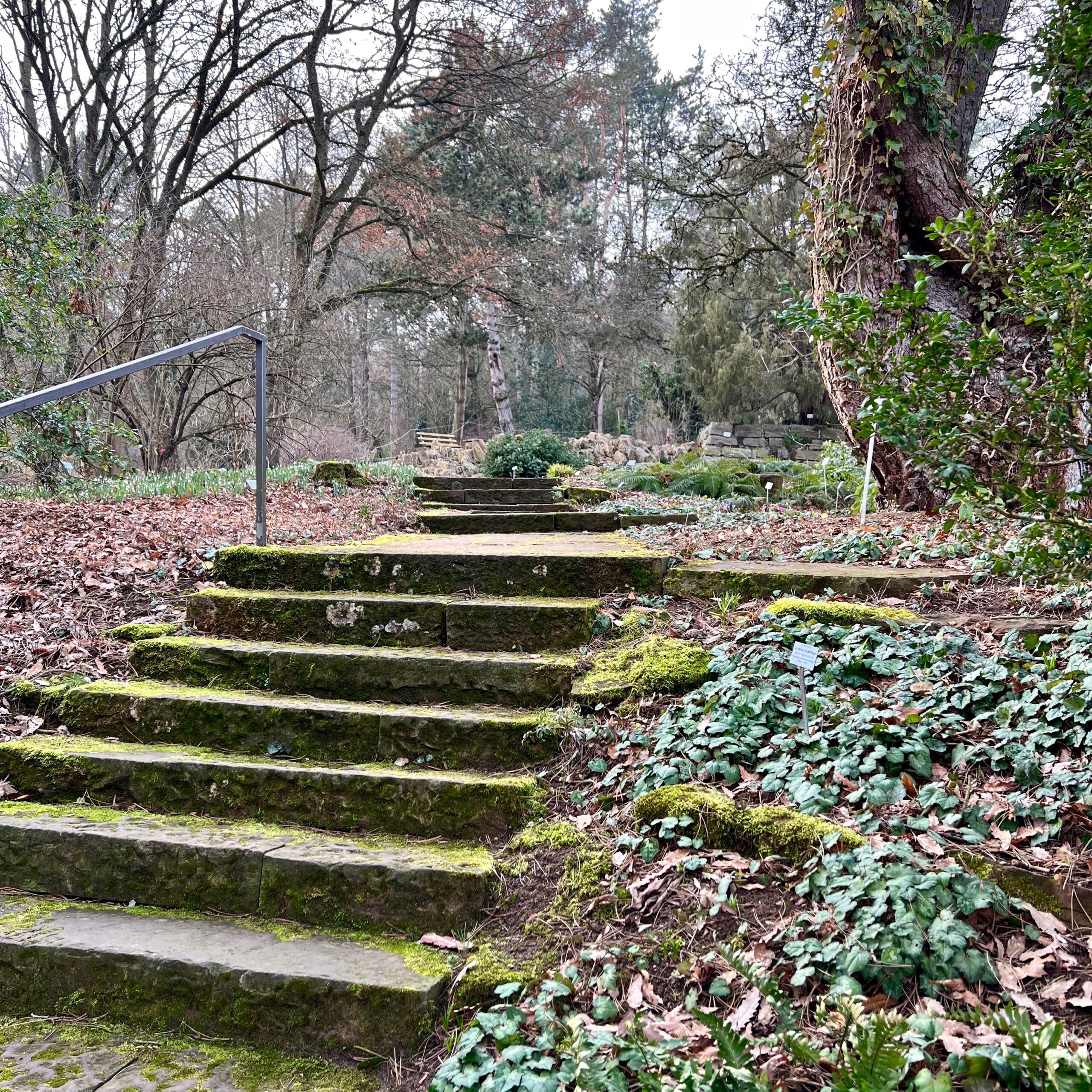 c_freigelände_botanischer