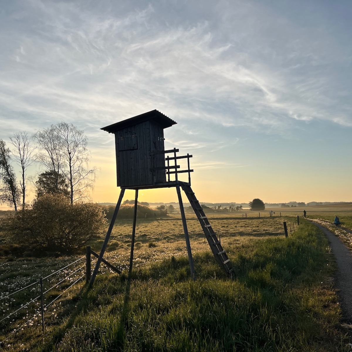 das_moor_erwacht
