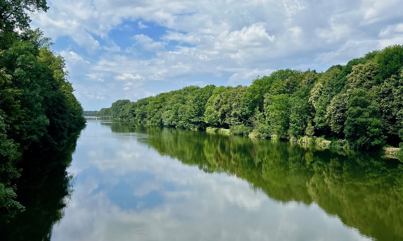 donauwald_donau