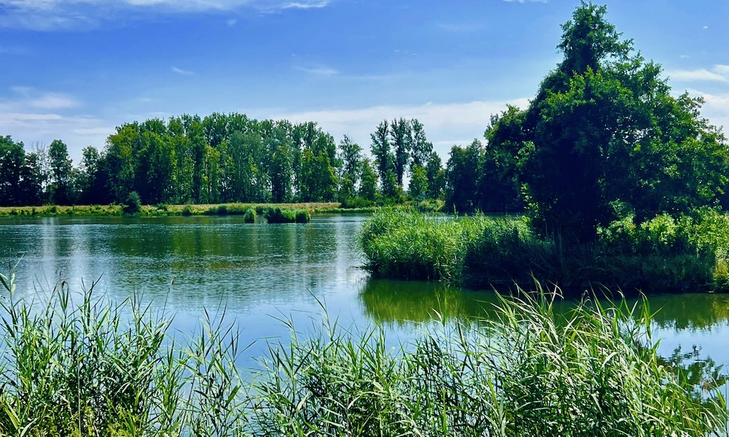 donauwald_wanderweg