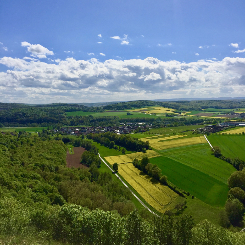 fernsicht_ruine_homburg